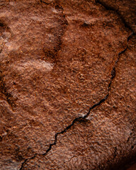 Texture d'un cookie au chocolat 
