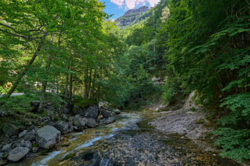 The Arazas River flows through the Ordesa National Park. Biosphere Reserve. In Ordesa Natural Park, Huesca, Aragon, Spain.