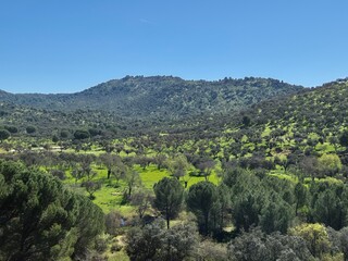 Parque natural de Sierra Morena - Marzo 2025