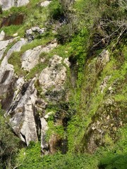 Parque natural de Sierra Morena - Marzo 2025