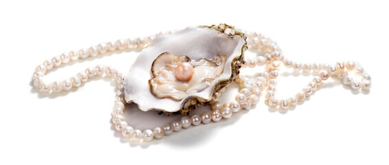 Pearls, One Natural pearl inside the oyster shell, close up, on white background. Nacre. Pearl necklace. Mother-of-pearl. Jewellery. Wealth concept. 