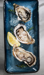 Fresh Oysters on a blue plate, open french oyster with lemon, served table in restaurant, dinner with champagne. Delicatessen, Healthy sea food. Oyster. Gourmet food.