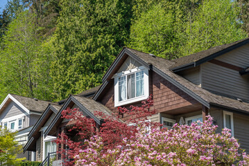 Top of grey stucco luxury house with shingle roof, green trees and nice windows in Spring in Vancouver, Canada, North America. Day time on April 2025.