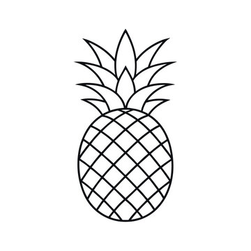 outline of a pineapple line art vector