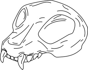 Hand-drawn line art illustration of a cat skull, suitable for gothic, spooky, and fantasy designs.