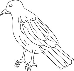 Hand-drawn crow illustration in minimalist black and white line art, ideal for Halloween and gothic themes.