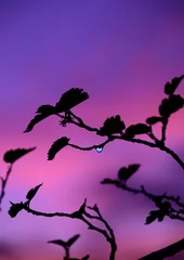 Fototapete Rund Shadowy Landscape © 均 田島