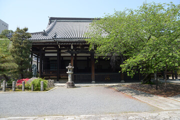 Fototapeta premium 本法寺 本堂 京都市上京区