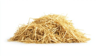 A pile of straw.  A large heap of dried, light golden-tan straw fibers, tightly packed and resting on a plain white background.  It shows the texture of the straw clearly