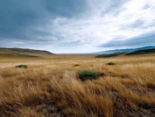 Golden Grassland Rolling Beneath a Wide Sky Under Soft Clouds