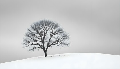 A lone tree stands on a snow-covered hill, creating a peaceful and minimalist winter scene.