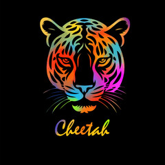 Cheetah colored head on black background. hand drawing. Not AI, Vector illustration