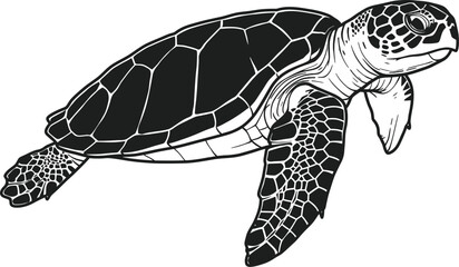 Stylized Black and White Vector Sea Turtle Illustration