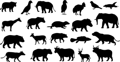 Naklejka premium Animal silhouette collection. Set of black animal silhouette. Animal icons. Mammal, fish, insects, birds, reptiles silhouette collection. Wild, domestic animals icons