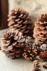 Close-up of natural pine cones lying on the forest floor. Captures intricate textures, earthy tones, and organic details