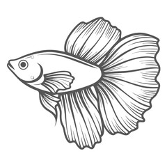 Elegant Betta Fish Line Art Illustration