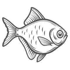 Black Skirt Tetra Fish Line Art Illustration
