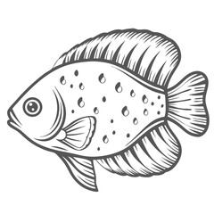 Blue Gourami Fish Line Art Illustration