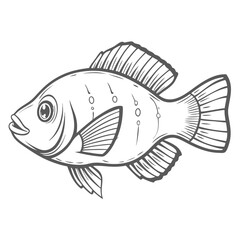 Bolivian Ram Fish Line Art Illustration