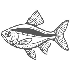 Cardinal Tetra Fish Outline Illustration