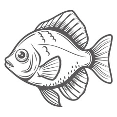 Boeseman's Rainbowfish Line Art Illustration