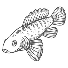 Bristlenose Pleco Fish Line Art Illustration