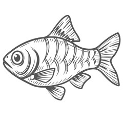 Cherry Barb Fish Line Art Illustration
