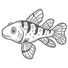 Clown Pleco Line Art Illustration