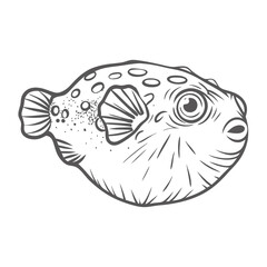 Figure 8 Puffer Fish Line Art Illustration © Lungani