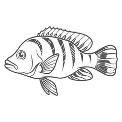Frontosa Cichlid Line Art Vector Illustration