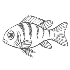 German Blue Ram Fish Line Art Illustration