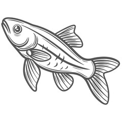 Glass Catfish Line Art Illustration