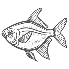 Glowlight Tetra Fish Line Art Illustration