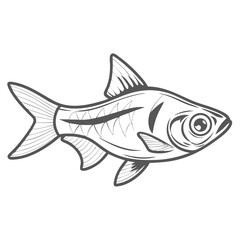 Harlequin Rasbora Fish Outline Illustration