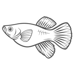 Sailfin Molly Fish Line Art Illustration