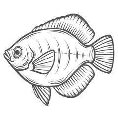 Moonlight Gourami Fish Line Art Illustration