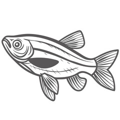 Neon Tetra Fish Line Art Illustration