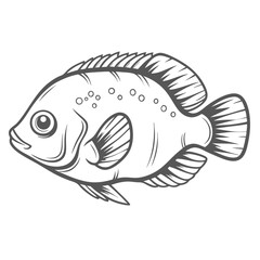 Oscar Fish Outline Illustration, Astronotus Ocellatus