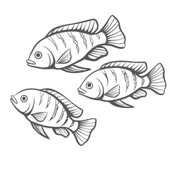 Peacock Cichlids Group Line Art Illustration