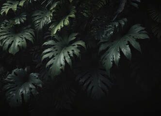 Fototapeta premium Dark, lush tropical leaves and vines intertwine, casting deep shadows on a black backdrop , illustration, wallpaper