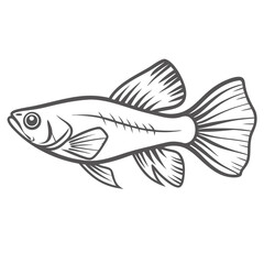 Swordtail Fish Line Art Illustration, Xiphophorus hellerii