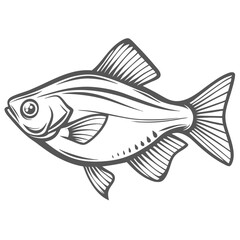 Threadfin Rainbowfish Line Art Illustration