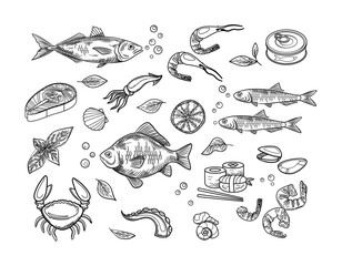 Seafood sketches set. Crab, squid and rolls, shrimps. Octopus and lobster. Restaurant or cafe menu. Hand drawn sketching. Linear vector collection isolated on white background