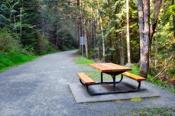 Picnic table in the trail at Kinsol Trestle, cowichan valley, vancouver island, british colombia, canada
