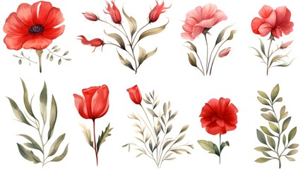 Vibrant Set of Red Flower Buds and Lush Green Leaves Isolated on White Background