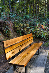 bench in the park