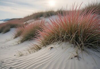 Coastal Serenity: Vibrant Beach Grasses Dance on Sun-Kissed Sand Dunes sea sky calm ocean nature    