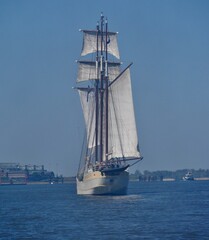 Obraz premium Grpßselgler auf der Elbe in Hamburg