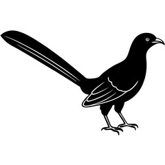 Minimal Greater Coucal Vector on White