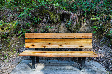 Wooden bench in the park